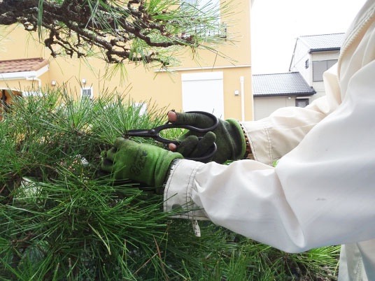 光陽株式会社の求人情報 Wo ユメックスネット 主婦 夫 50代からのパート アルバイト バイト探し 地域密着求人サイト