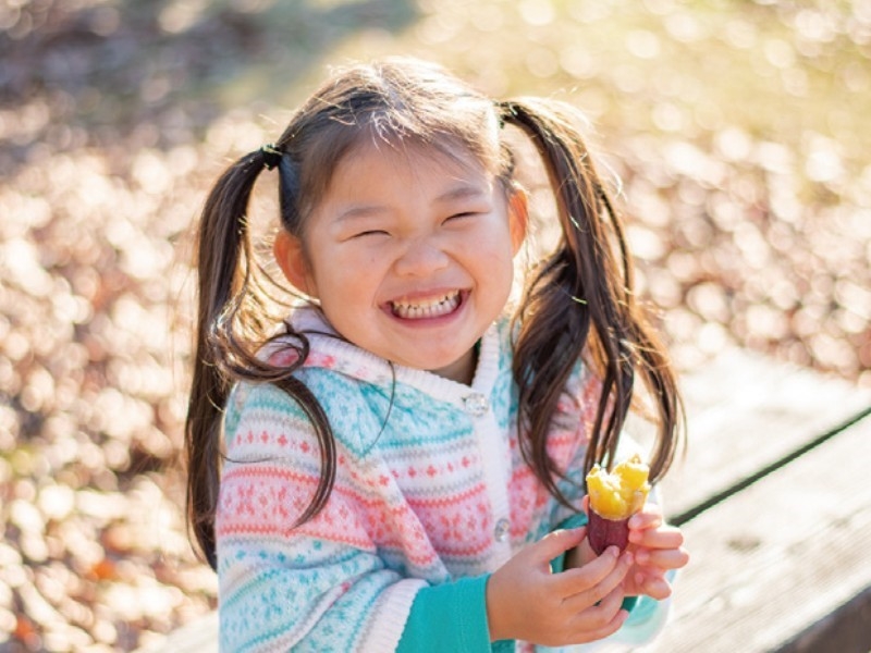 シダックス大新東ヒューマンサービス株式会社の求人画像