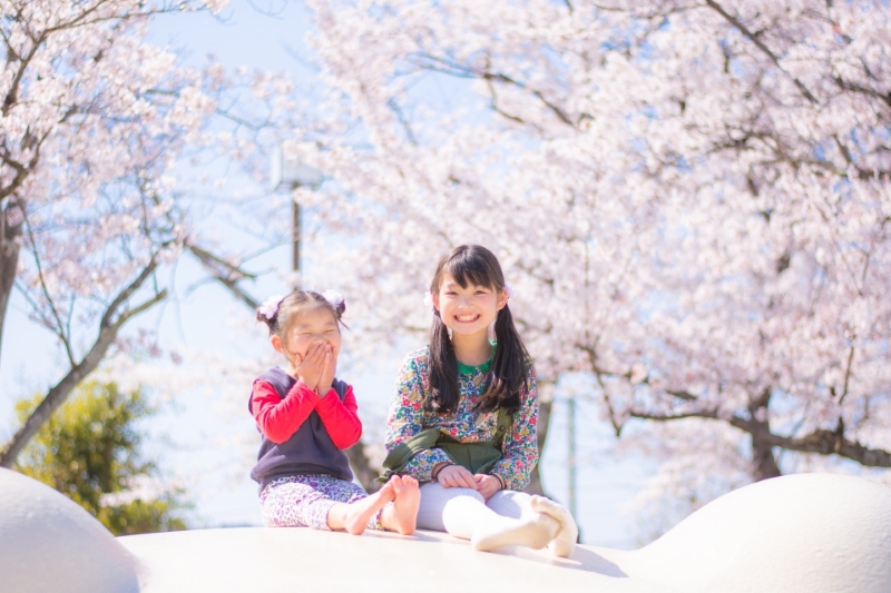 シダックス大新東ヒューマンサービス株式会社の求人画像