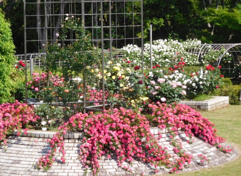 株式会社 日比谷アメニス 東関東支店の求人画像