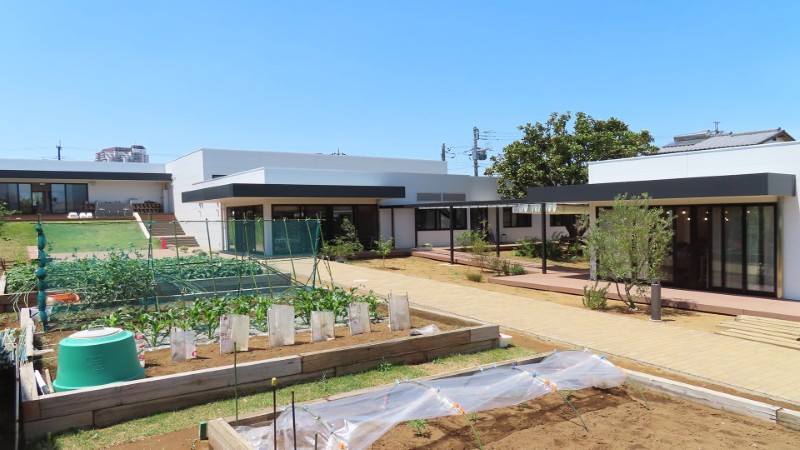 モンテッソーリ光の子の求人画像