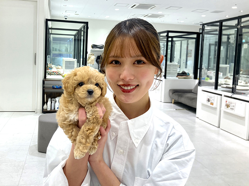 ペッツファースト株式会社　ペッツファースト 須坂店の求人画像